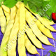 Квасоля спаржева Марвел ді Венеція 10 г Gl Seeds