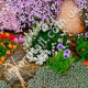 Квіткова суміш Рокарій 0.5 г Gl Seeds