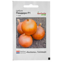 Цибуля Пандеро F1 1 г Nunhems