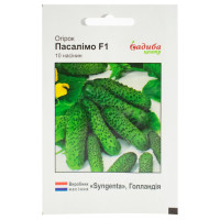 Огірок Пасалимо F1 10 шт Syngenta