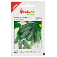 Огірок Пасалимо F1 50 шт Syngenta
