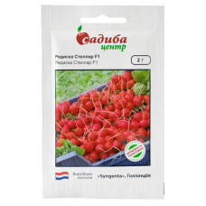 Редис Стелар F1 2 г Syngenta