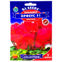 Цикламен Орфеус F1 5 шт Gl Seeds