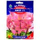 Цикламен Амор F1 5 шт Gl Seeds