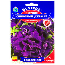 Петунія Сливовий джем F1 5 шт Gl Seeds
