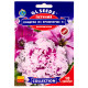 Петунія Поздрав з Яромнерже F1 10 шт Gl Seeds