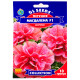 Петунія Магдалена F1 10 шт Gl Seeds