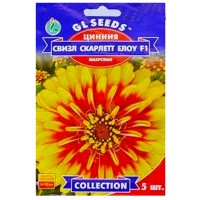 Цинния Свизл Скарлетт Елоу F1 5 шт Gl Seeds