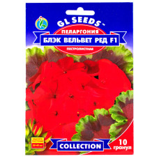 Пеларгонія Блек Вельвет Ред F1 5 шт Gl Seeds