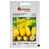 Кукурудза Спіріт F1 20 шт Syngenta