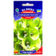 Молюцела Ірландські бантики 0.25 г Gl Seeds