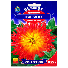 Цинія Бог вогню 0.25 г Gl Seeds