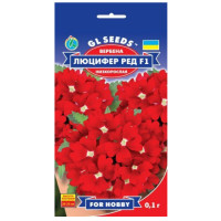Вербена Люцифер Ред F1 0.1 г Gl Seeds