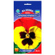 Віола Червоні Крила F1 0.1 г Gl Seeds