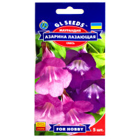 Маурандия Азарина лазающая 5 шт Gl Seeds