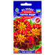 Чорнобривці Чері леді 0.5 г Gl Seeds