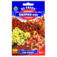 Схізантус Каприз 0.3 г Gl Seeds