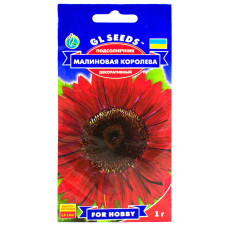 Соняшник Малинова королева 1 г Gl Seeds