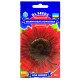 Соняшник Малинова королева 1 г Gl Seeds