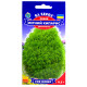 Кохія Літній кипарис 0.5 г Gl Seeds