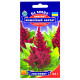 Амарант Вишнёвый бархат 0.2 г Gl Seeds