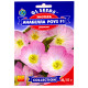 Энотера Анабелла роуз F1 0.15 г Gl Seeds