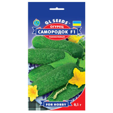 Огурец Самородок F1 0.5 г Gl Seeds