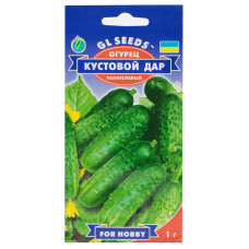Огурец Кустовой Дар 1 г Gl Seeds