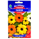 Тунбергія Сьюзі 0.7 г Gl Seeds