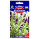Ісоп Аристократ 0.25 г Gl Seeds