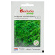 Петрушка Ріалто 1 г Bejo