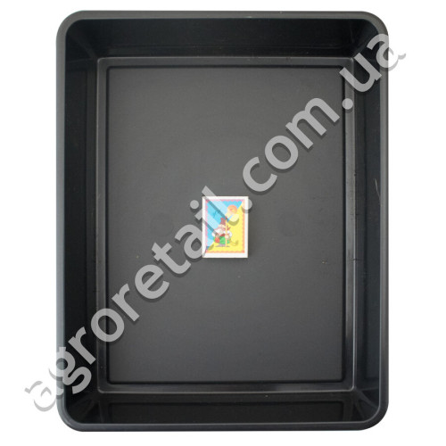 Пластиковий лоток для розсади 330x258x60 мм