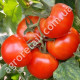 Томат Президент 0.1 г Gl Seeds