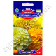 Чорнобривці Купідон Mix 0.2 г Gl Seeds