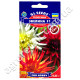 Жоржина Евеліна F1 0.25 г Gl Seeds