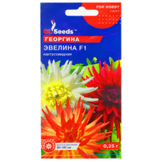 Жоржина Евеліна F1 0.25 г Gl Seeds