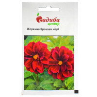Жоржина Кривава мері 0.1 г Hem Zaden
