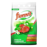 Добриво Florovit для полуниці і суниці 3 кг