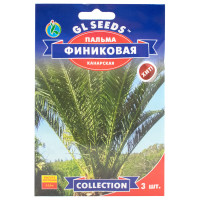 Пальма Фінікова 5 шт Gl Seeds