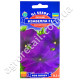 Петуния Изабелла F1 0.1 г Gl Seeds