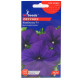 Петуния Изабелла F1 0.1 г Gl Seeds