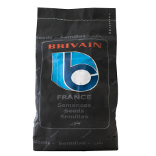 Свекла Цилиндра 1 кг Brivain