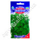 Кріп Алігатор кущовий 3 г Gl Seeds