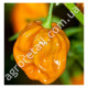 Перец Хабанеро оранжевый 8 шт Satimex