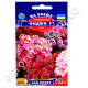 Схізантус Фіджі F1 0.3 г Gl Seeds