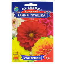 Жоржина Рання пташка 0.4 г Gl Seeds