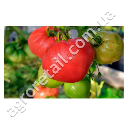 Томат Японский краб 0.15 г Gl Seeds