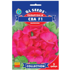 Пеларгонія Єва F1 малинова 5 шт Gl Seeds