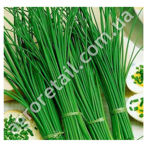 Цибуля Шніт Богемія 1 г Gl Seeds