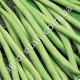 Квасоля спаржева Кларон профі 10 г Syngenta